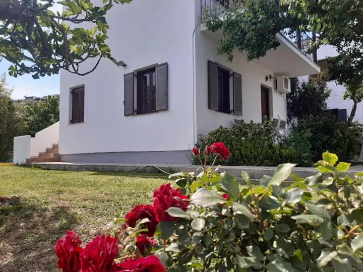 Κόκκινα τριαντάφυλλα μπροστά στα διαμερίσματα