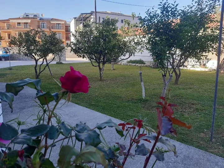 Τριαντάφυλλα στο μονοπάτι του κήπου